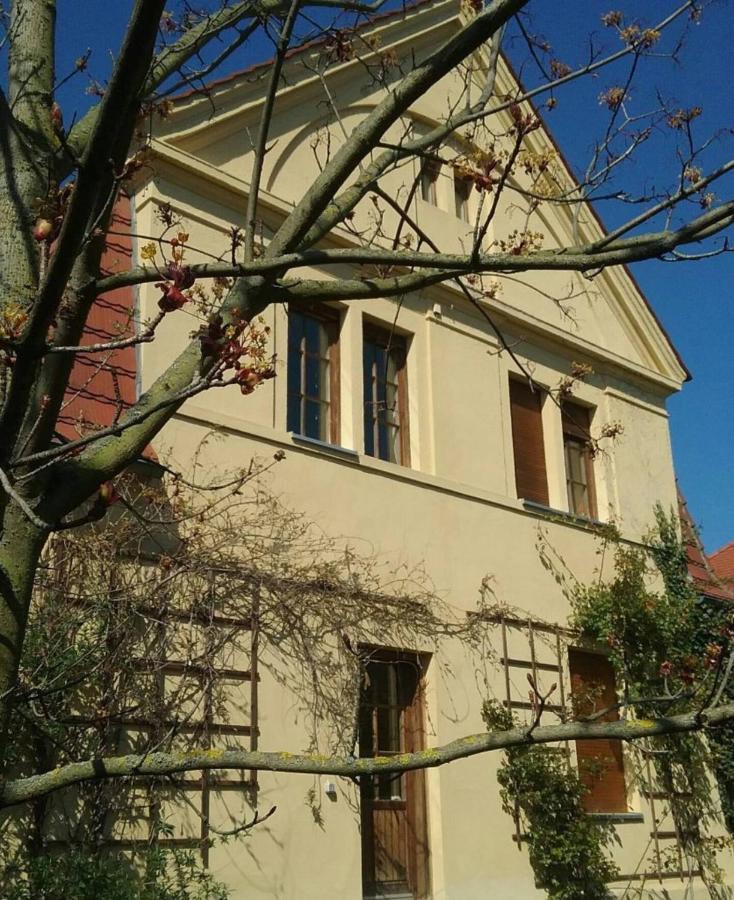 Haus Schmeile Magdeburg Ngoại thất bức ảnh